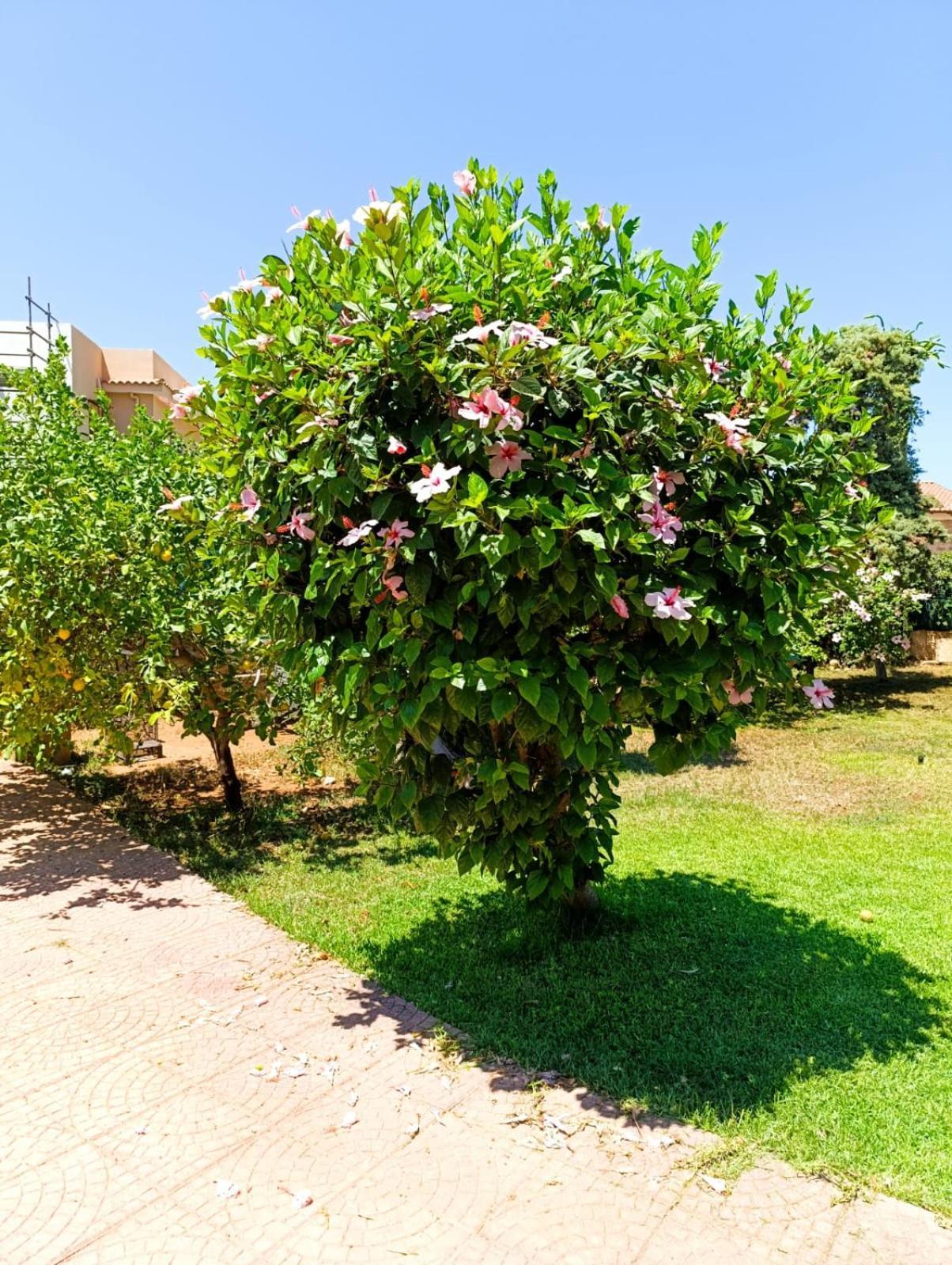 Casa In Giardino A Pochi Passi Dal Mare Palermo Exterior foto