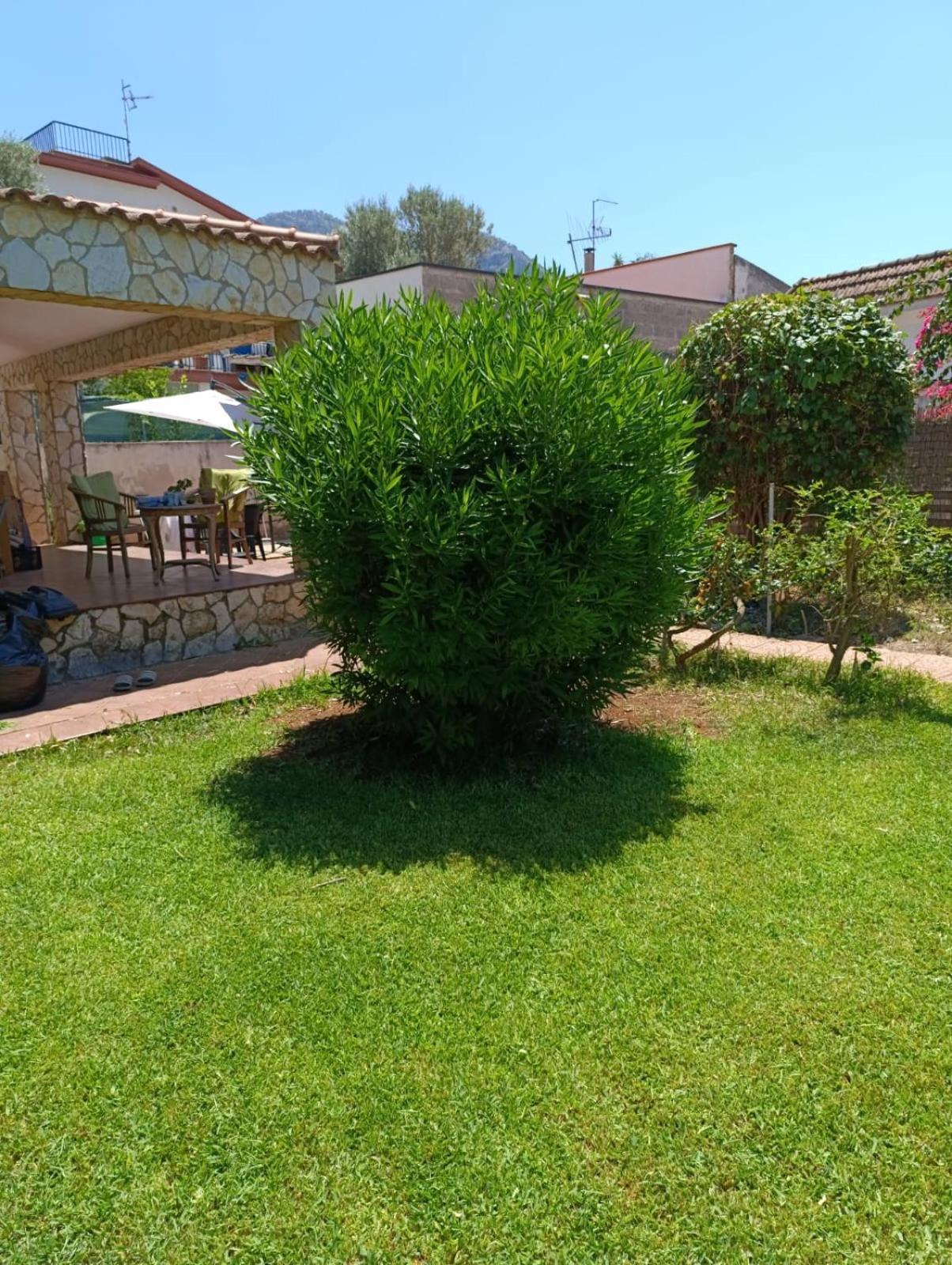 Casa In Giardino A Pochi Passi Dal Mare Palermo Exterior foto